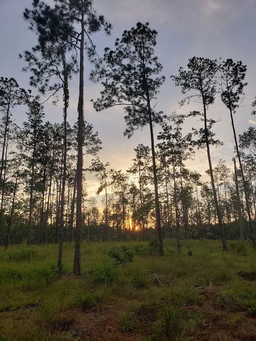Blessing Trails RV Park 3