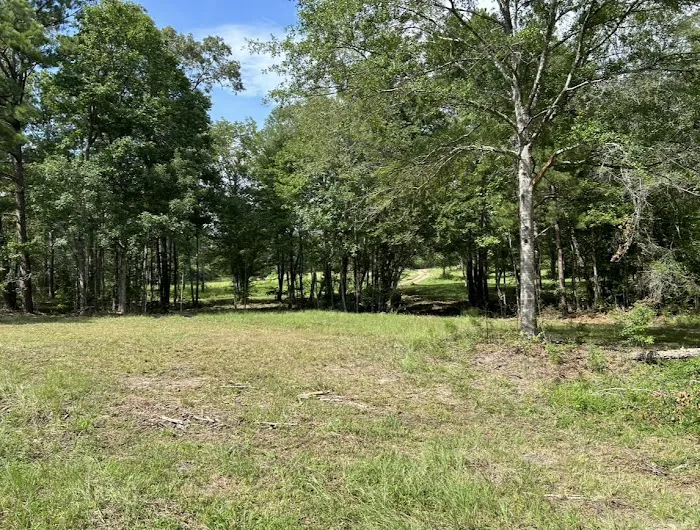 Miller Springs RV Park 1