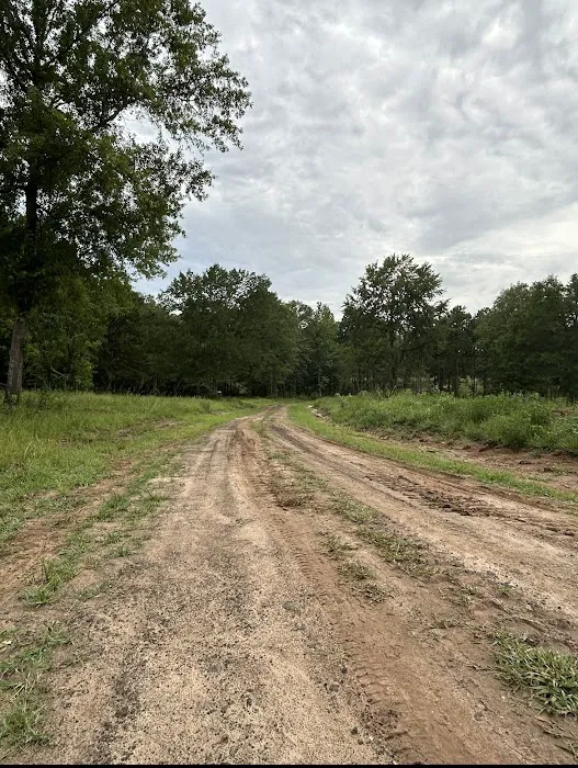 Miller Springs RV Park 2