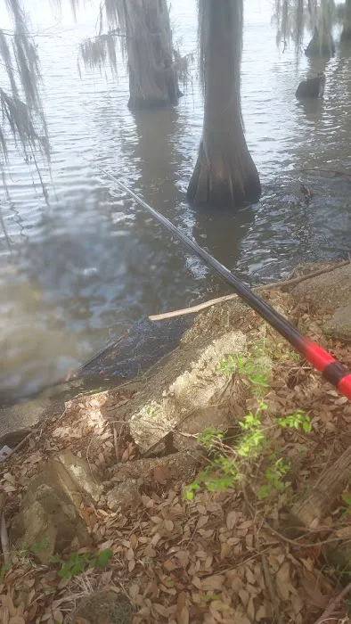 LesTer's on the Lake 2