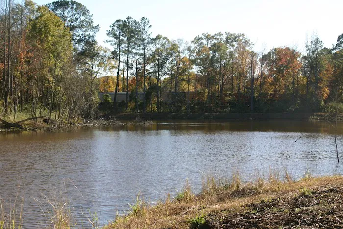 Calhoun Hills at 103 RV Park 3