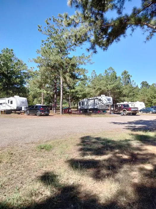 Sandy Pines RV Park 5