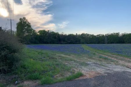 Sandy Pines RV Park