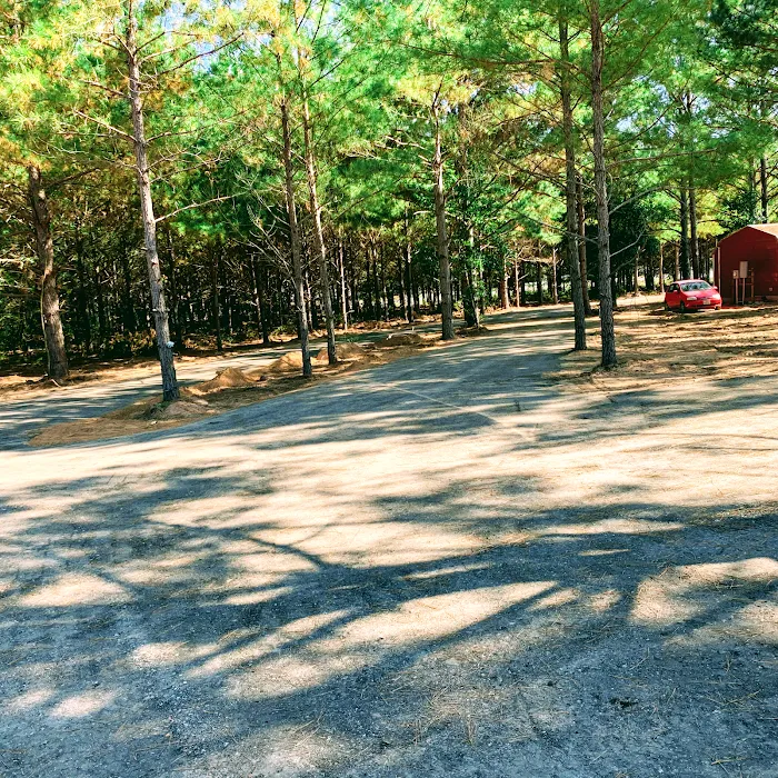 Sandy Pines RV Park 10