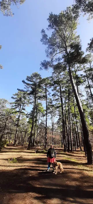 Piney Creek Horse Camp 6