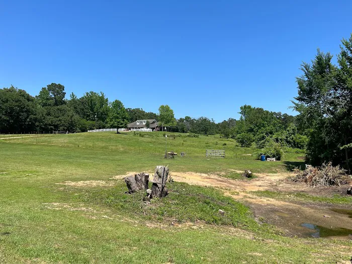 Highway 155 RV Park 10