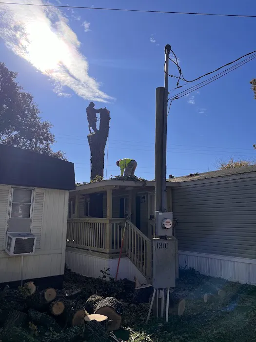 Timberstone Mobile Home Park 5