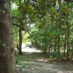 Magnolia Hill RV Park
