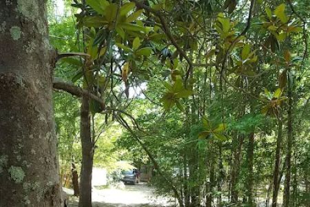 Magnolia Hill RV Park