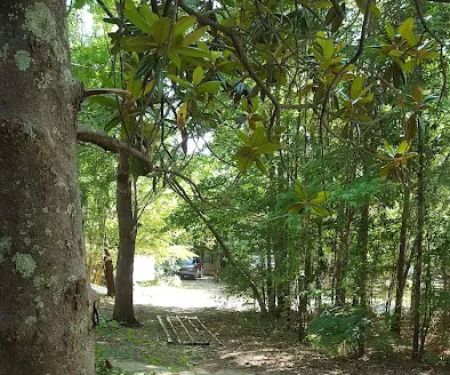 Magnolia Hill RV Park