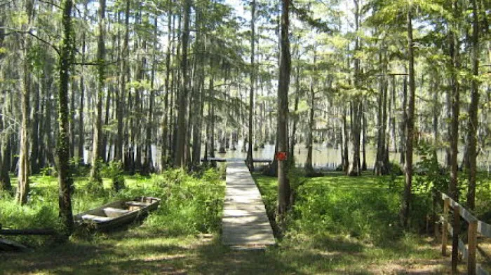 Whispering Oaks RV Park and Campground 1