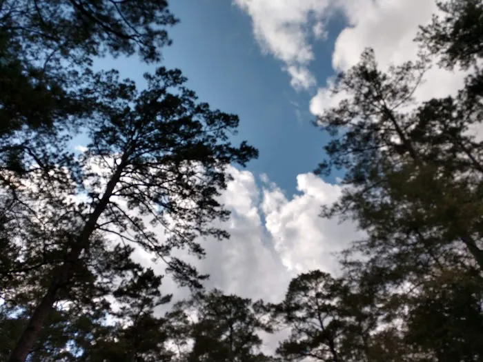 Cloud Crossing Campground 2