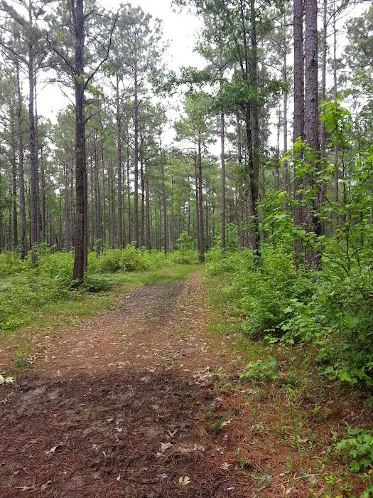 Gum Springs Horse Campground 10