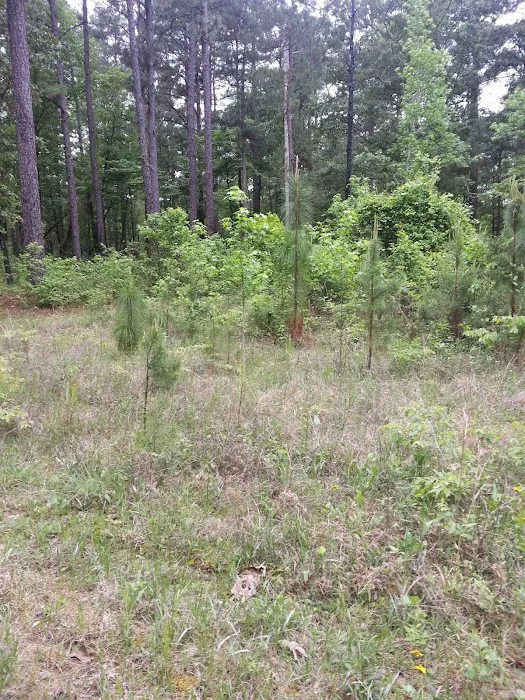 Gum Springs Horse Campground 6