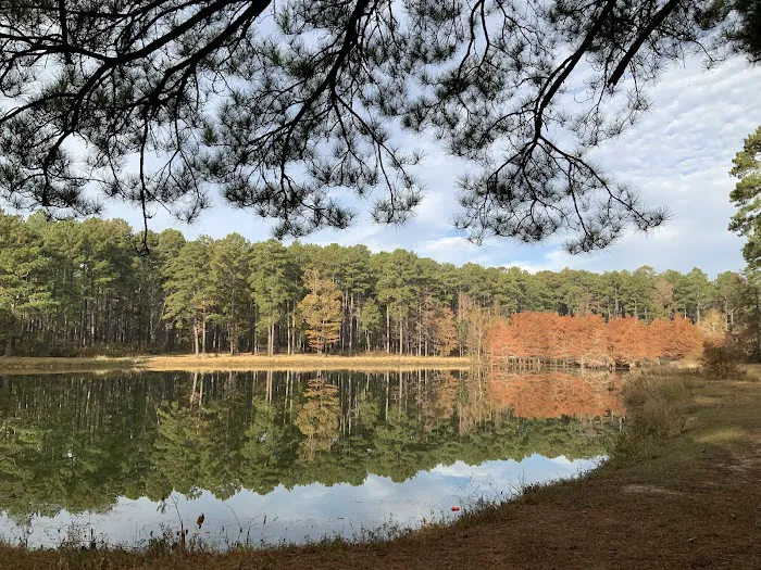 Gum Springs Horse Campground 7