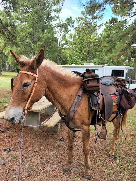 Gum Springs Horse Campground 1