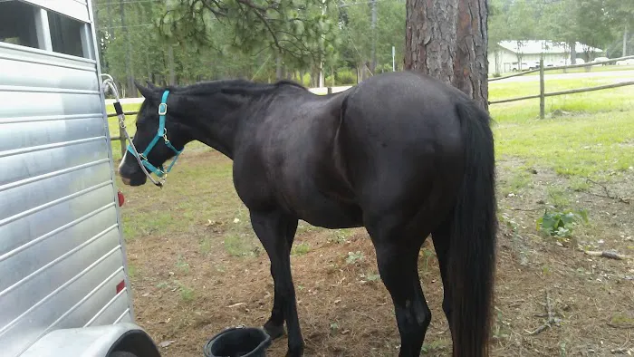 Gum Springs Horse Campground 3