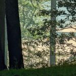 Gum Springs Campground and Picnic Area