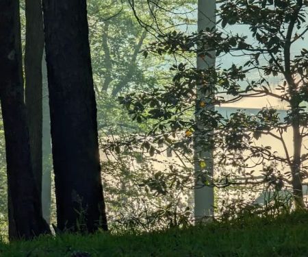 Gum Springs Campground and Picnic Area