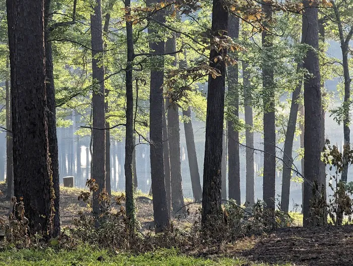 Gum Springs Campground and Picnic Area 3