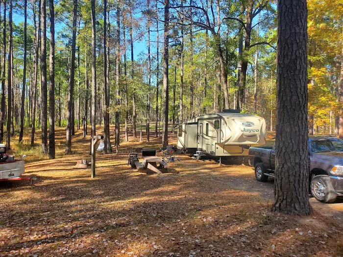 Gum Springs Campground and Picnic Area 6