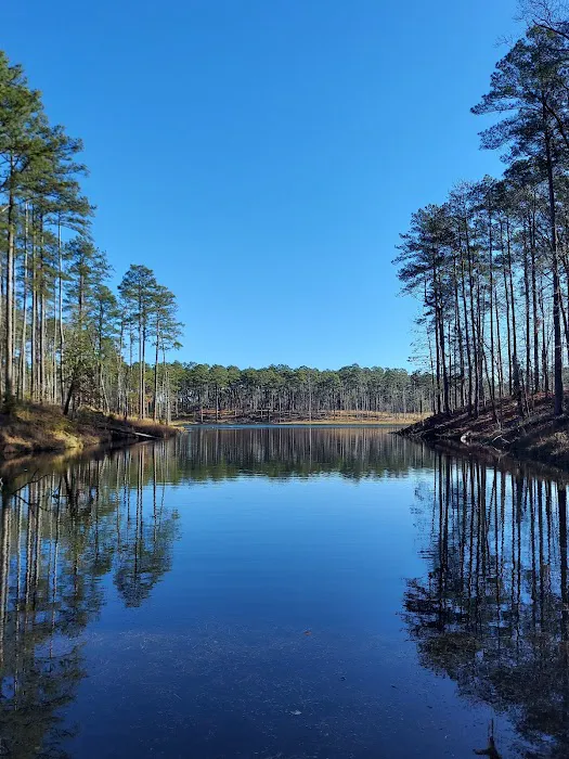 Gum Springs Campground and Picnic Area 4