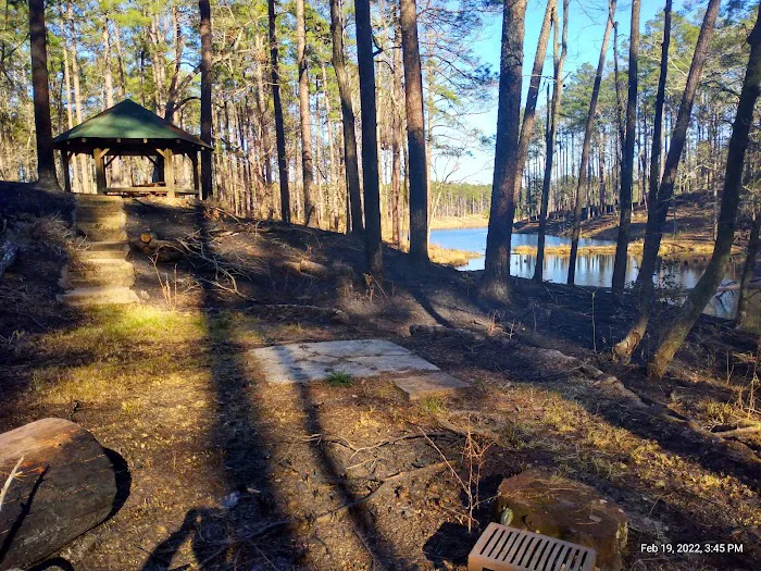 Gum Springs Campground and Picnic Area 7