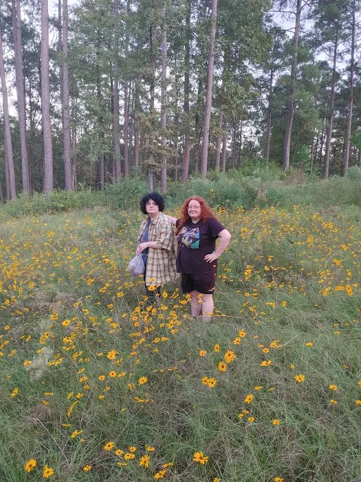 Gum Springs Campground and Picnic Area 9