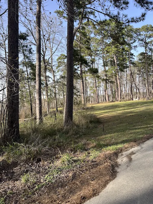 Caney Creek Recreation Area - Angelina National Forest 2