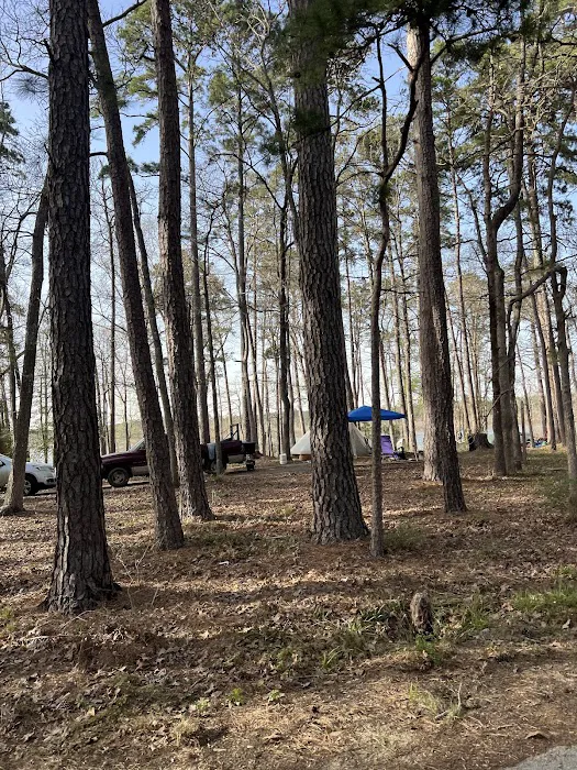 Caney Creek Recreation Area - Angelina National Forest 3
