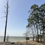 Caney Creek Recreation Area - Angelina National Forest