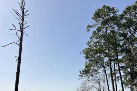 Caney Creek Recreation Area - Angelina National Forest