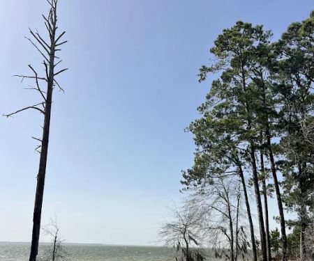 Caney Creek Recreation Area - Angelina National Forest