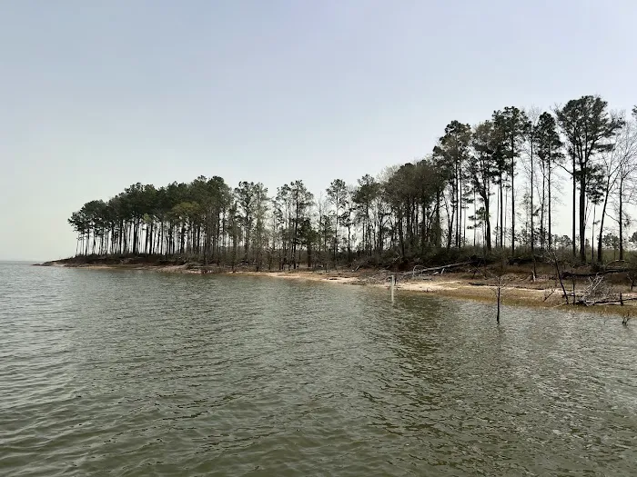 Caney Creek Recreation Area - Angelina National Forest 4