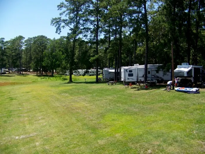 Powell Park Resort & Marina 4