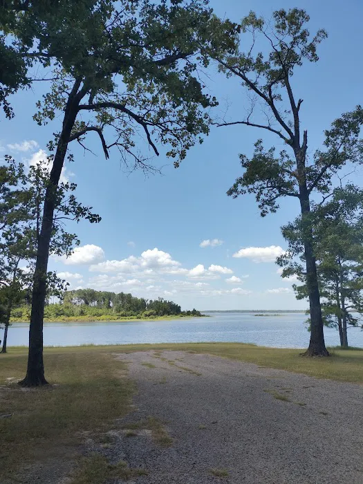 Powell Park Resort & Marina 1