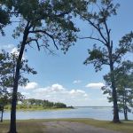 Powell Park Resort & Marina