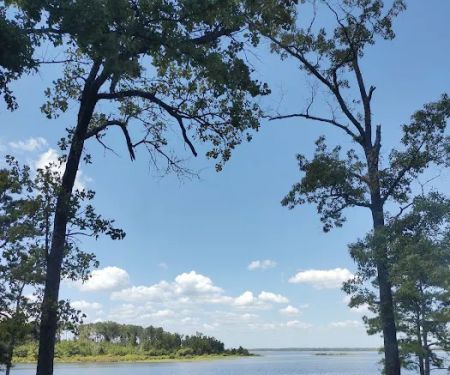 Powell Park Resort & Marina