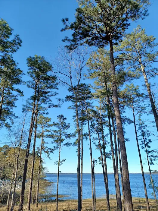 Westwood RV Park 4