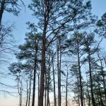 Westwood RV Park