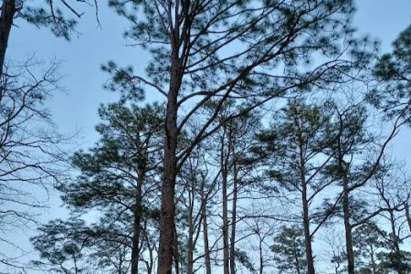 Westwood RV Park