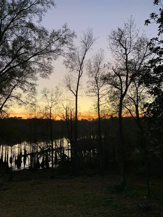 Big Pines Rv Park 1