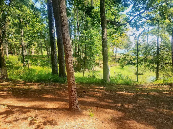 Indian Mounds Campground - Sabine National Forest 5