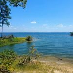 Indian Mounds Campground - Sabine National Forest