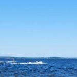 Lakeview Recreation Area