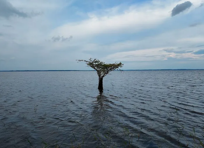 Lakeview Recreation Area 3