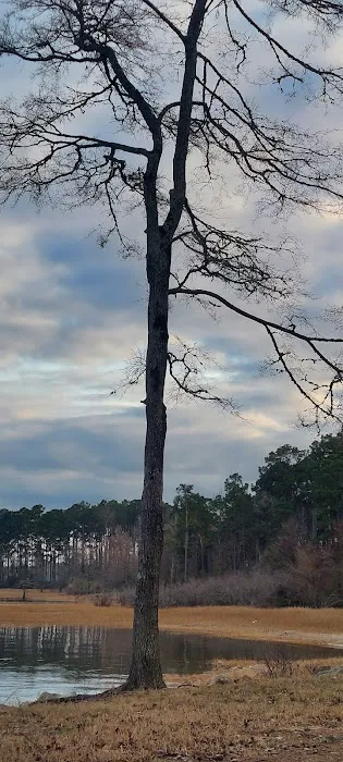 Lakeview Recreation Area 6