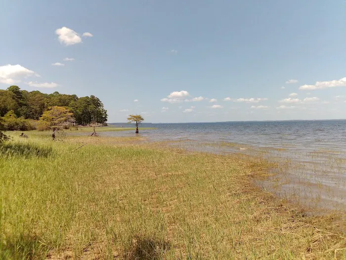 Lakeview Recreation Area 10