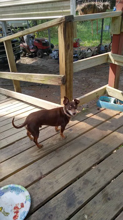 Mill Creek Bay RV Park 10