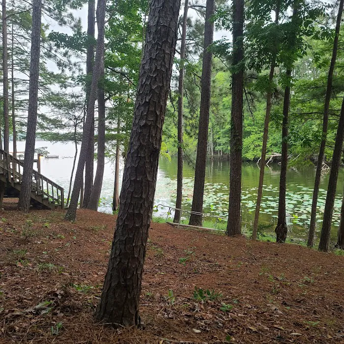 Mill Creek Bay RV Park 8